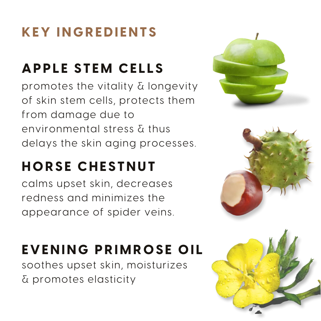 Apple Stem Cell Daily Radiance Cream