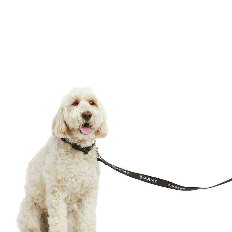 Ariat Dog Leash Black & Rebar Grey