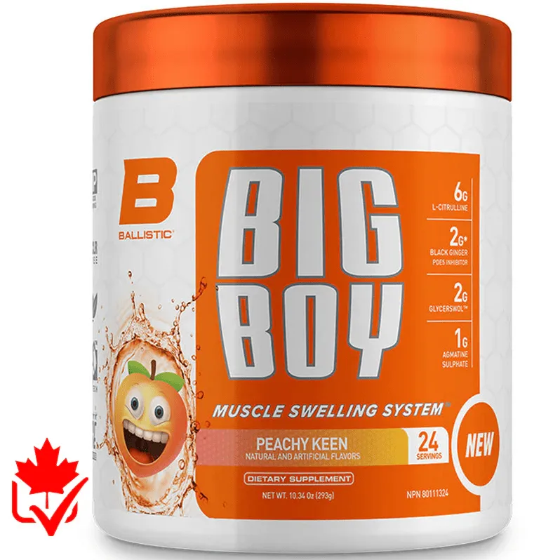Ballistic Labs Big Boy 24 Serv
