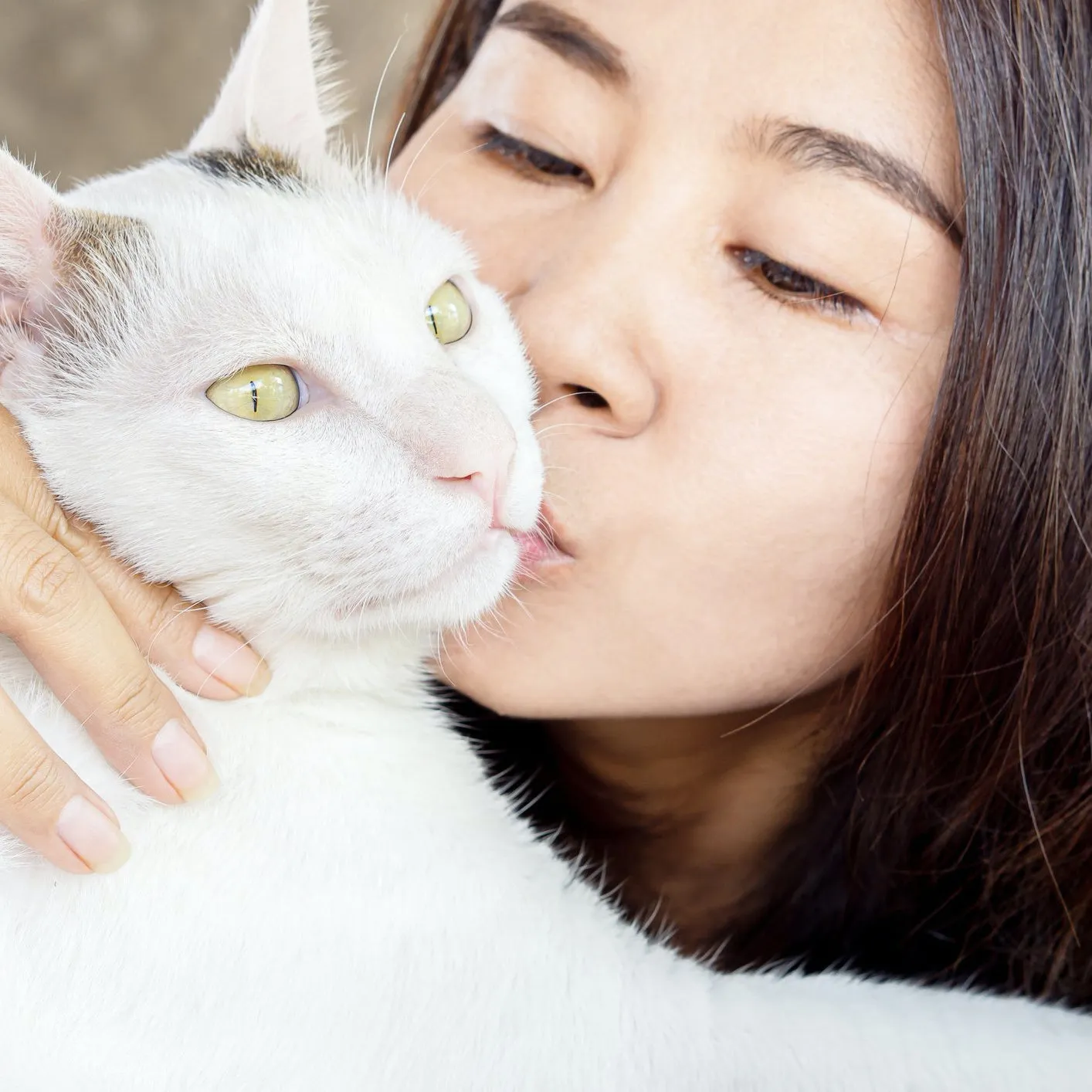 Cat Allergy Plus