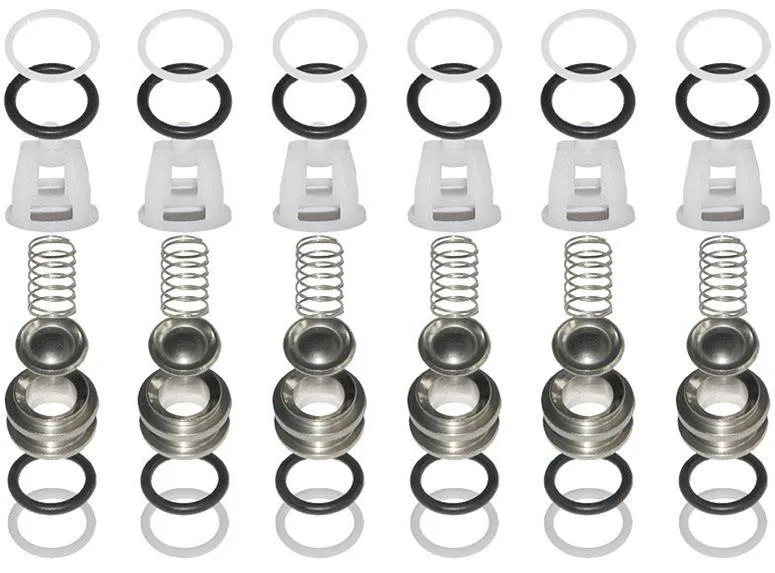 Comet 5025.0021.00 Valve Kit for TW Series Pumps