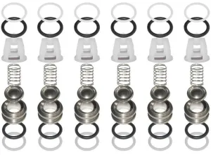 Comet 5025.0021.00 Valve Kit for TW Series Pumps