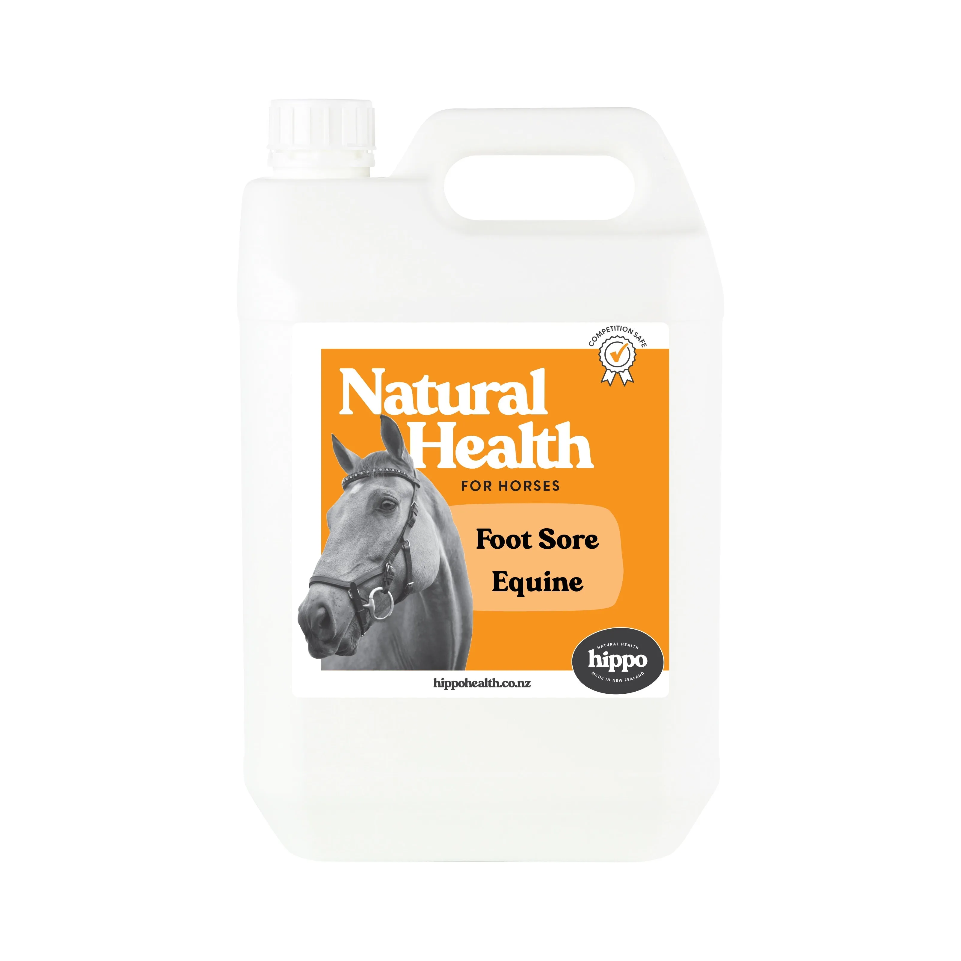Foot Sore - Equine