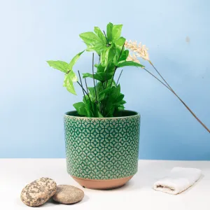 Green Hive Ceramic Plant Pot