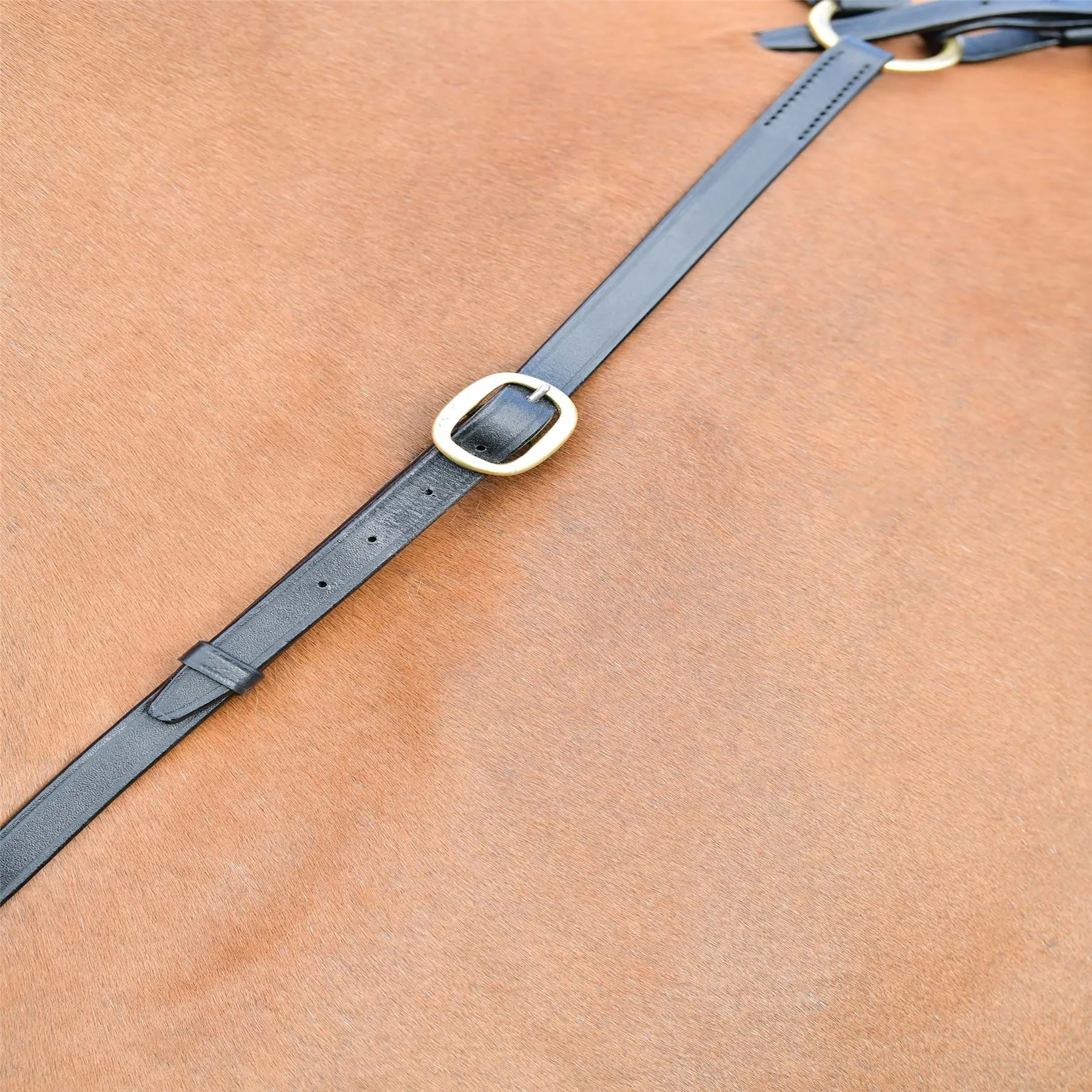 Kincade Classic 3 Point Breastplate With Running Martingale