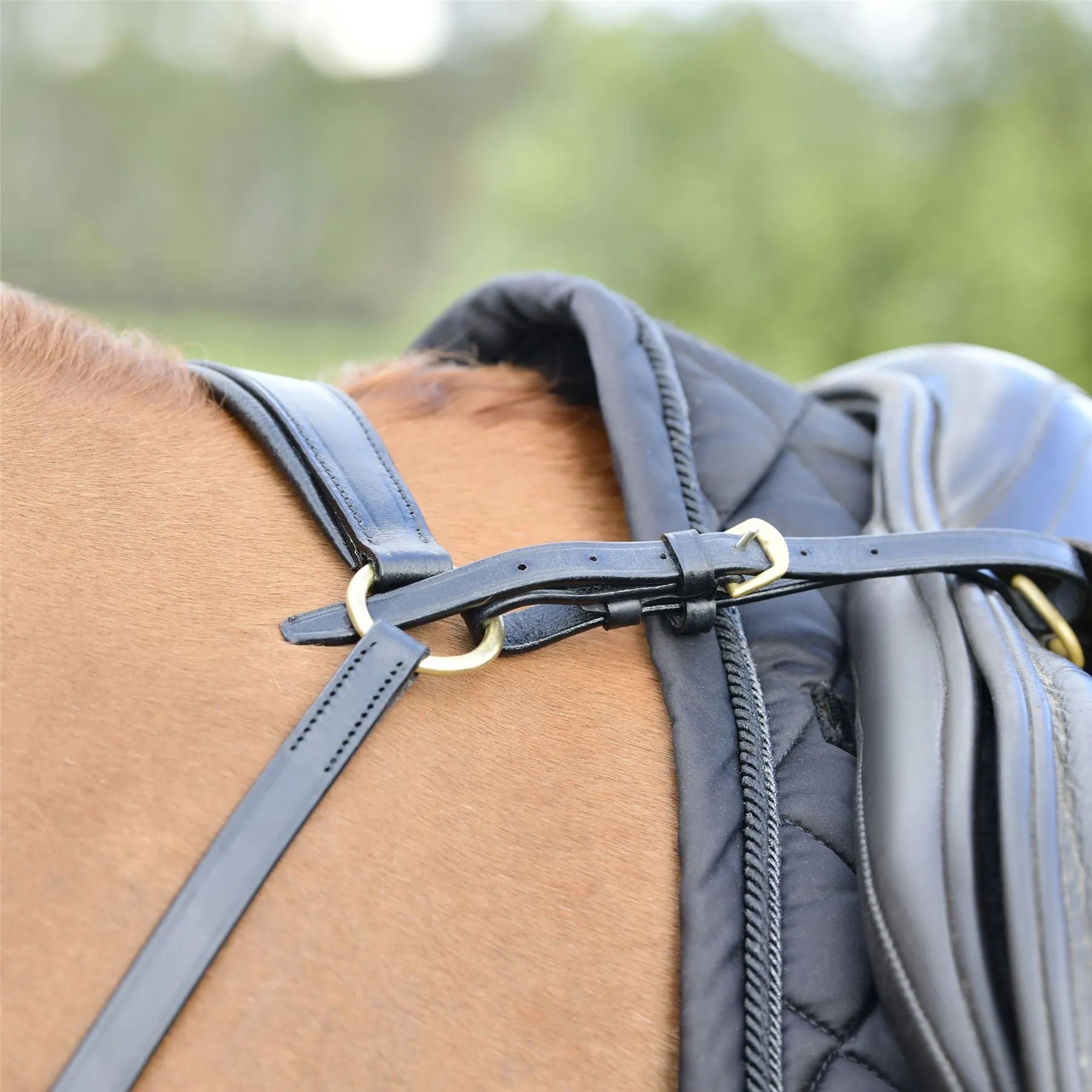 Kincade Classic 3 Point Breastplate With Running Martingale
