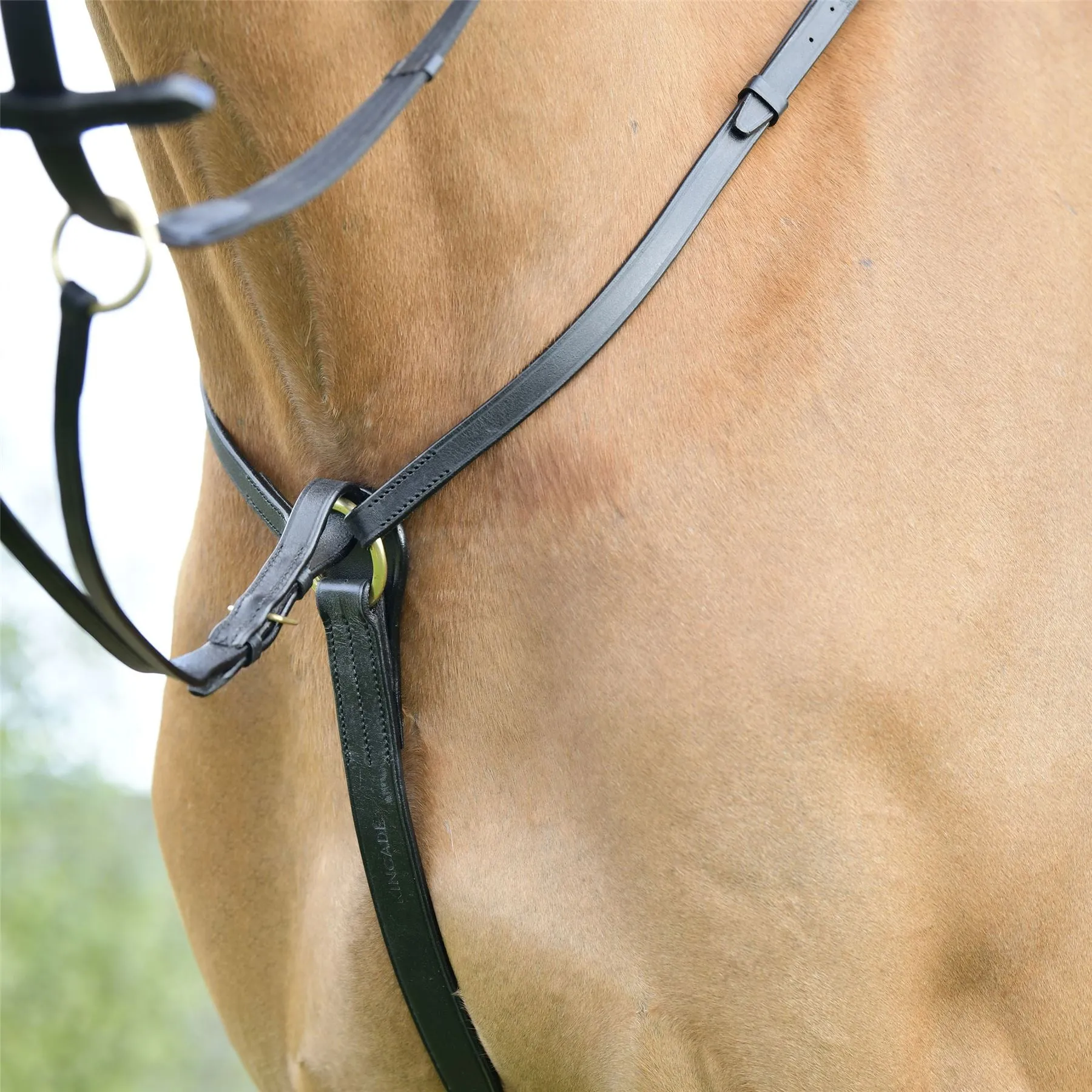 Kincade Classic 3 Point Breastplate With Running Martingale