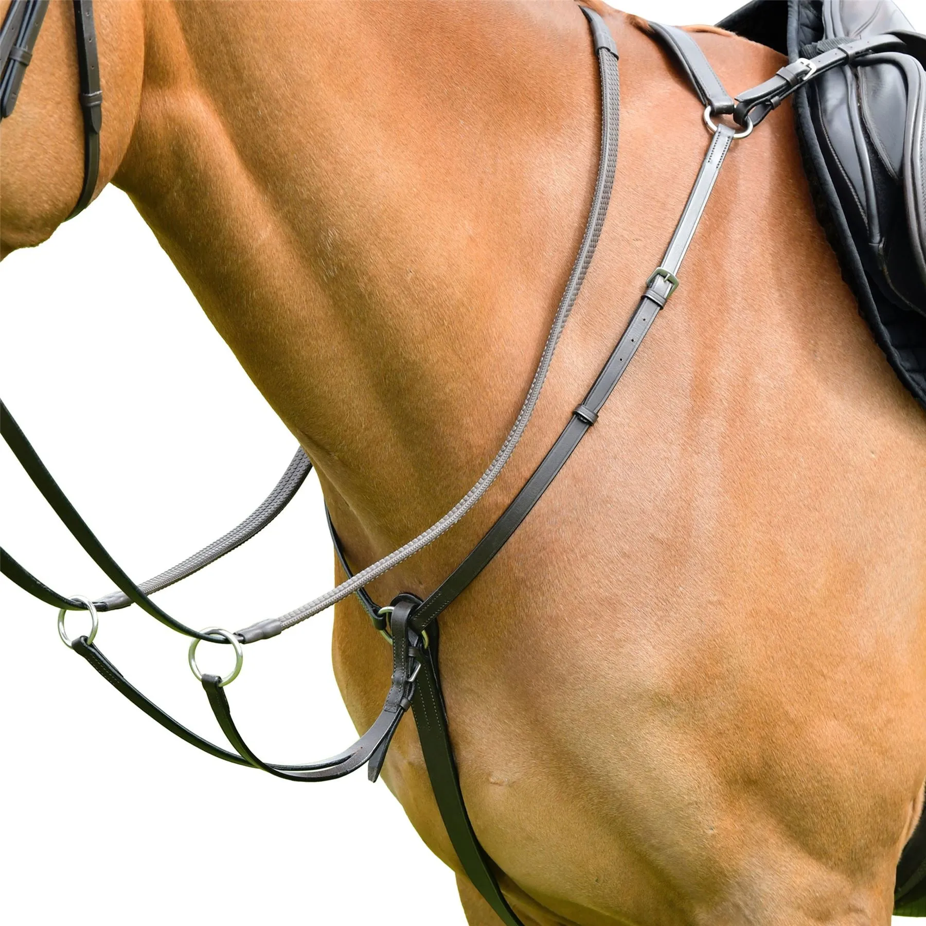 Kincade Classic 3 Point Breastplate With Running Martingale