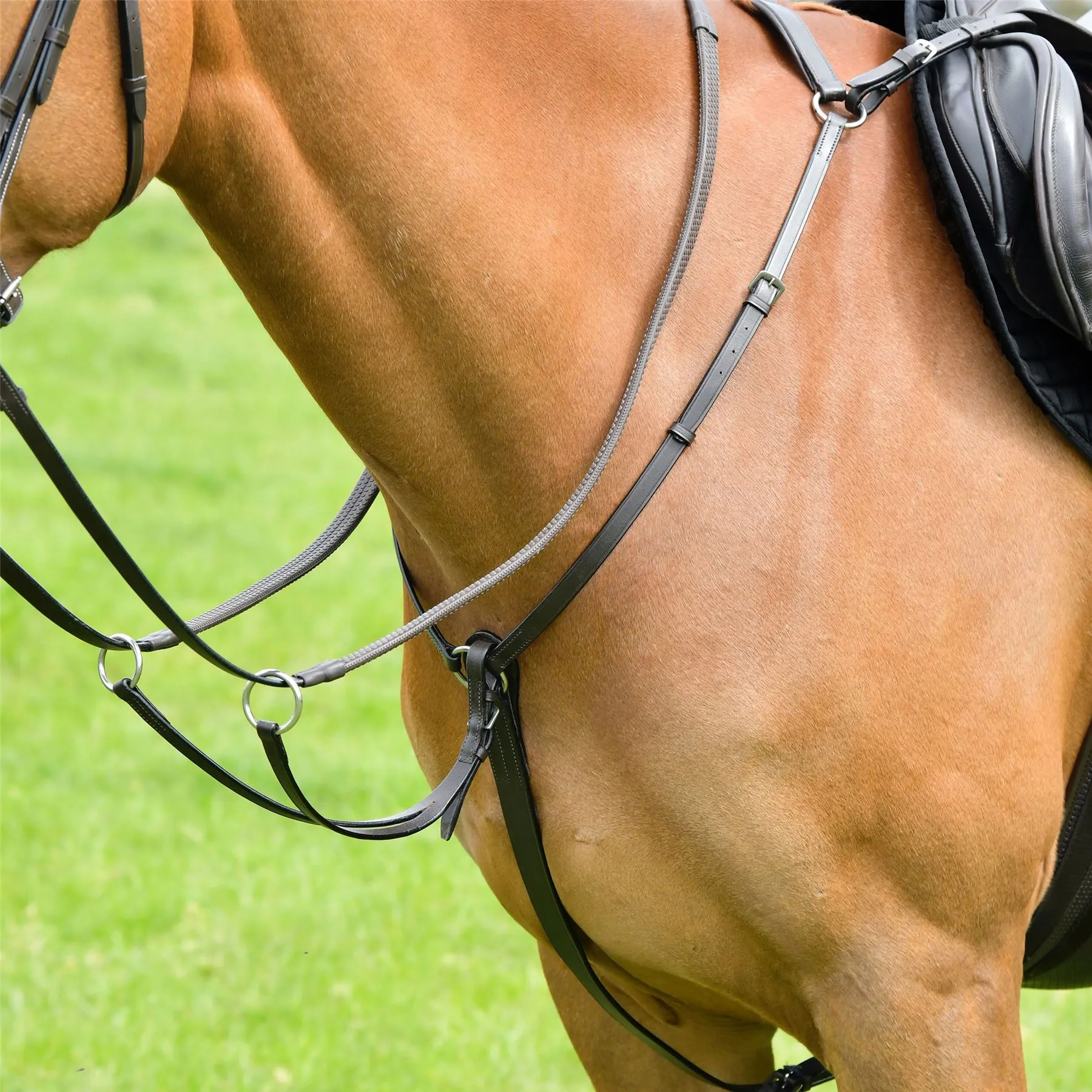 Kincade Classic 3 Point Breastplate With Running Martingale