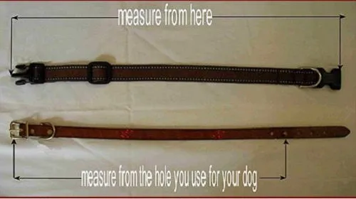 Malkia Beaded Dog Collar