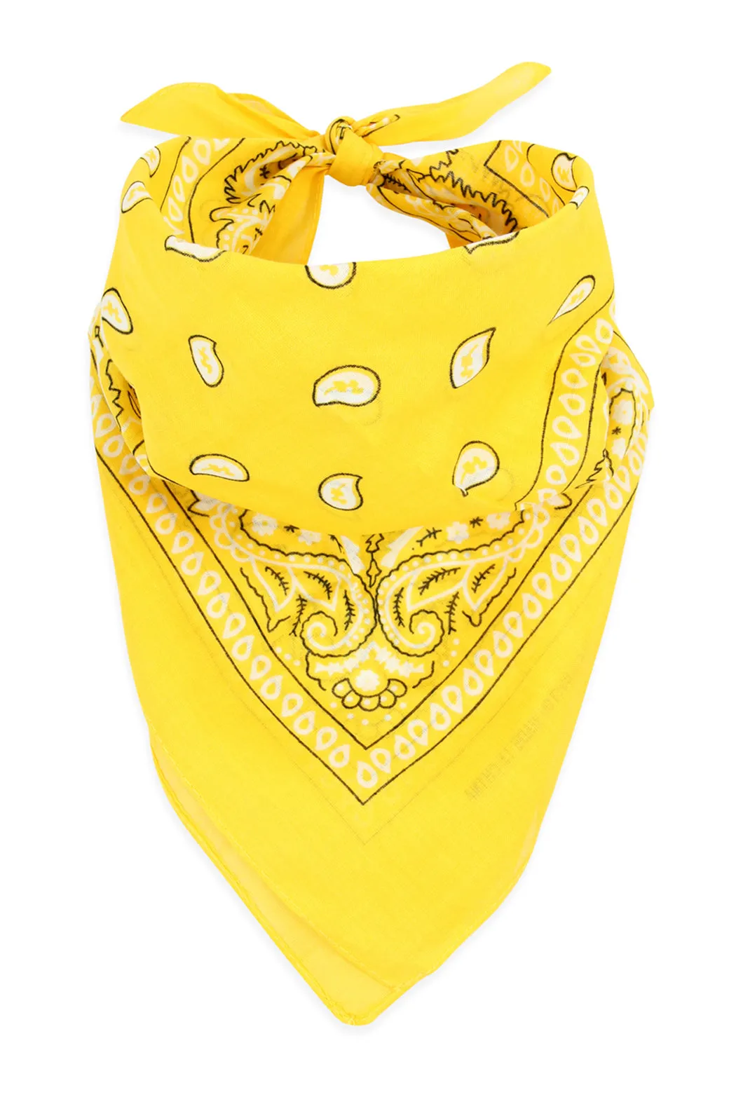 PAISLEY PRINT BANDANA