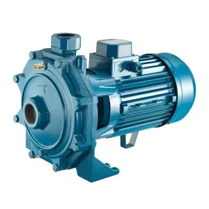 Pentax Centrifugal Water Pump 1PH Double Impeller - 2HP & 4HP