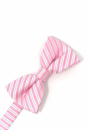 Pink Newton Stripe Kids Bow Tie