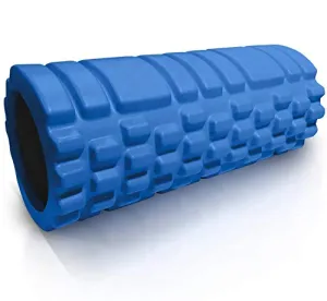 Seagull Flight of Fashion Foam Rollers for Deep Tissue Massage, Exercise, Fitness, Back Pain, and Physiotherapy- 33cm x 15cm- Blue