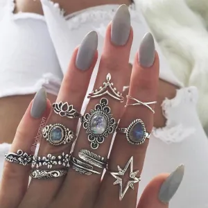 Silver Eleven Piece Star Floral Multi Designs Ring Set
