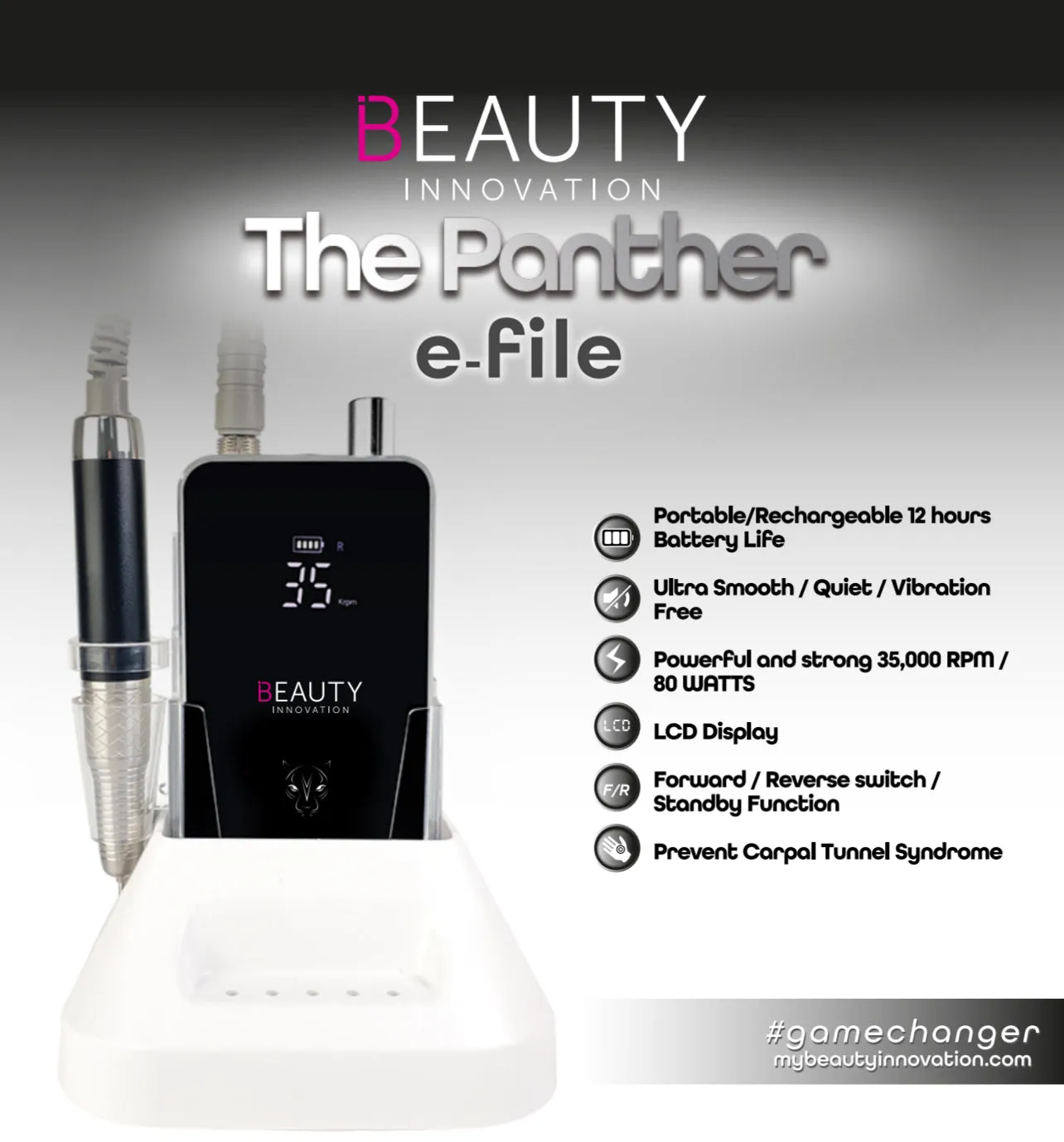 THE PANTHER / E-FILE